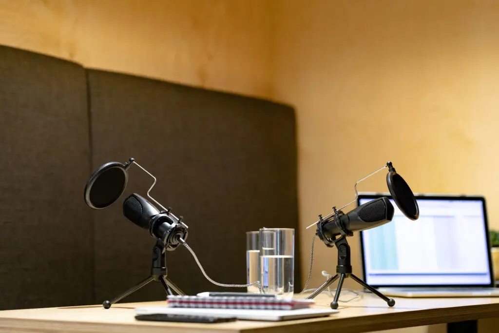 Two podcast mics representing digital strategy in 2025